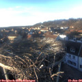 15_55-nest.jpg