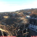 16_10-nest.jpg
