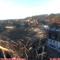16_15-nest.jpg