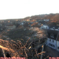 16_25-nest.jpg