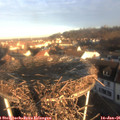 08_50-nest.jpg
