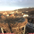 08_55-nest.jpg
