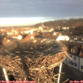 09_05-nest.jpg