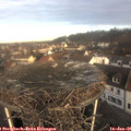 09_10-nest.jpg