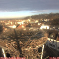 09_20-nest.jpg