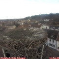 09_35-nest.jpg
