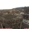 09_40-nest.jpg
