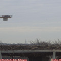 09_45-mast.jpg