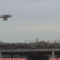 09_55-mast.jpg
