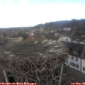 09_55-nest.jpg