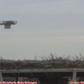 10_00-mast.jpg