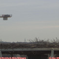 10_05-mast.jpg