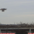 10_10-mast.jpg