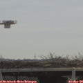 10_25-mast.jpg