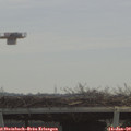 10_30-mast.jpg