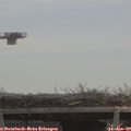 10_35-mast.jpg