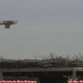 10_40-mast.jpg