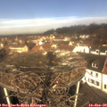 10_40-nest.jpg