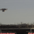 10_55-mast.jpg