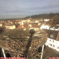 11_00-nest.jpg
