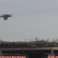 11_05-mast.jpg