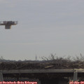 11_10-mast.jpg