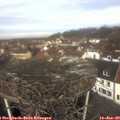 11_15-nest.jpg