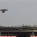 11_20-mast.jpg