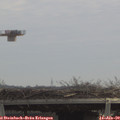 11_25-mast.jpg