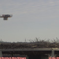 11_40-mast.jpg