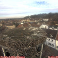 11_40-nest.jpg