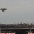 11_45-mast.jpg