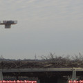 11_50-mast.jpg