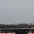 12_15-mast.jpg