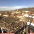12_40-nest.jpg