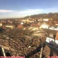 12_50-nest.jpg
