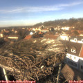 13_20-nest.jpg