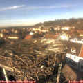 13_25-nest.jpg