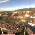 13_30-nest.jpg