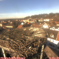 13_35-nest.jpg