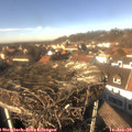 13_45-nest.jpg