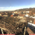 13_50-nest.jpg