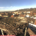 13_55-nest.jpg