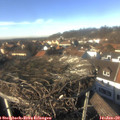 14_00-nest.jpg