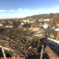 14_05-nest.jpg