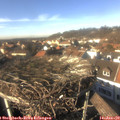 14_10-nest.jpg