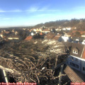 14_20-nest.jpg