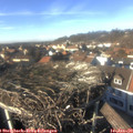 14_25-nest.jpg