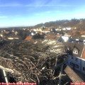 14_30-nest.jpg