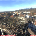 14_35-nest.jpg
